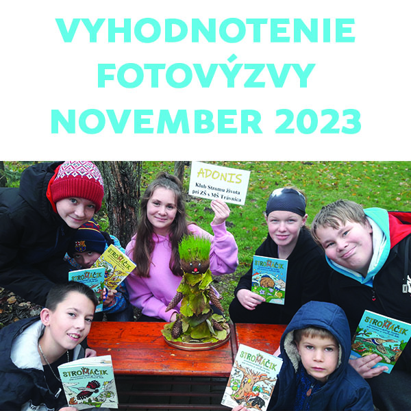 Vyhodnotenie FOTOVÝZVY november 2023