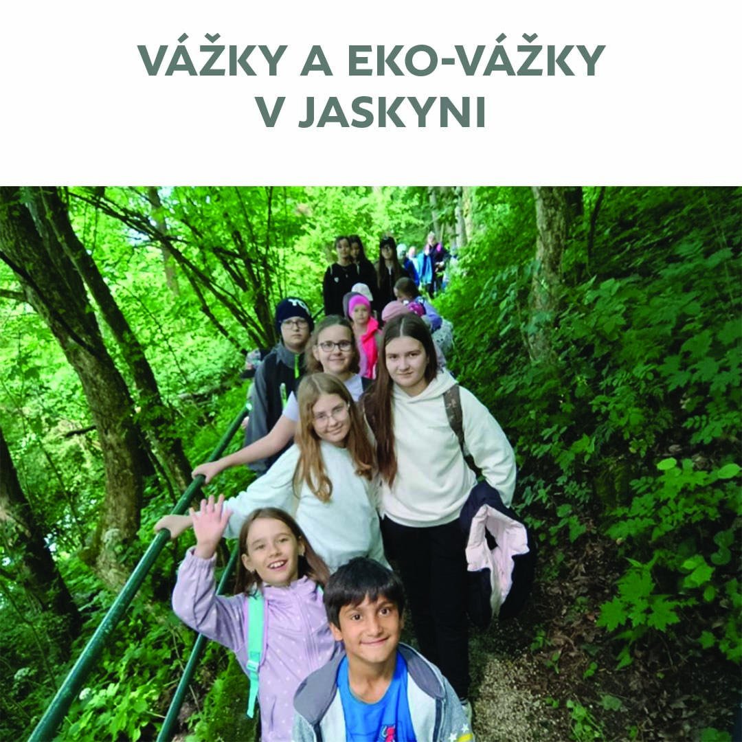 Vážky a Eko-vážky v jaskyni