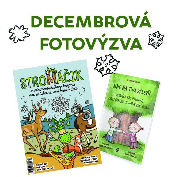 Decembrová FOTOVÝZVA