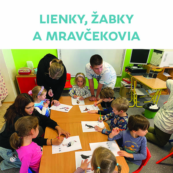 Lienky, Žabky a Mravčekovia