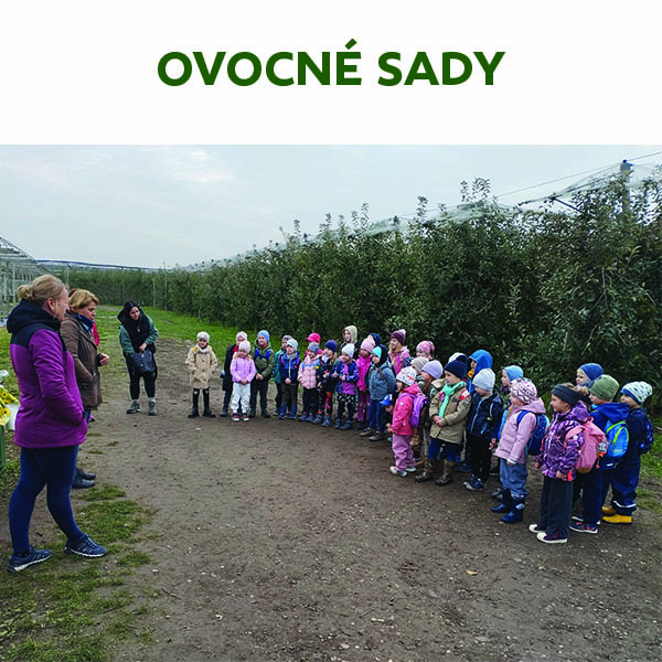 Ovocné sady