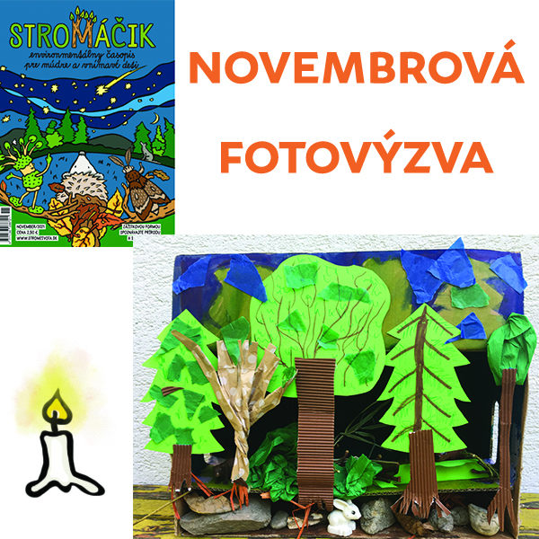 Novembrová FOTOVÝZVA