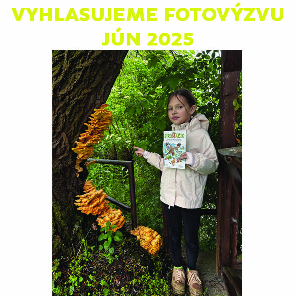 Vyhlasujeme FOTOVÝZVU JÚN 2025