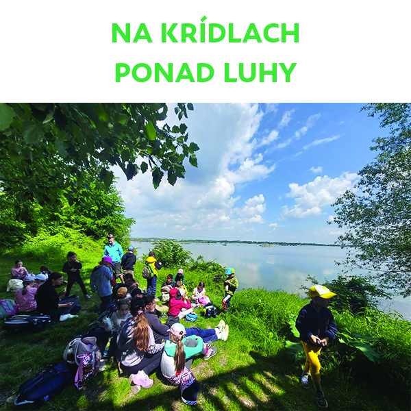 Na krídlach ponad Luhy