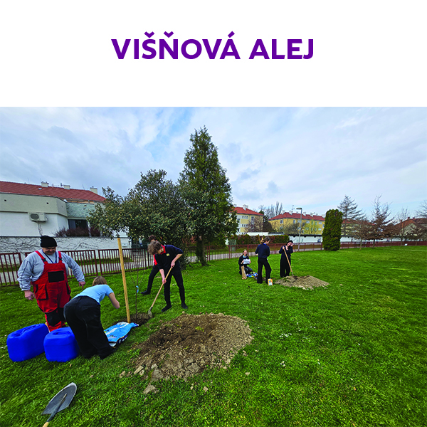 Višňová alej u Ekohotelákov