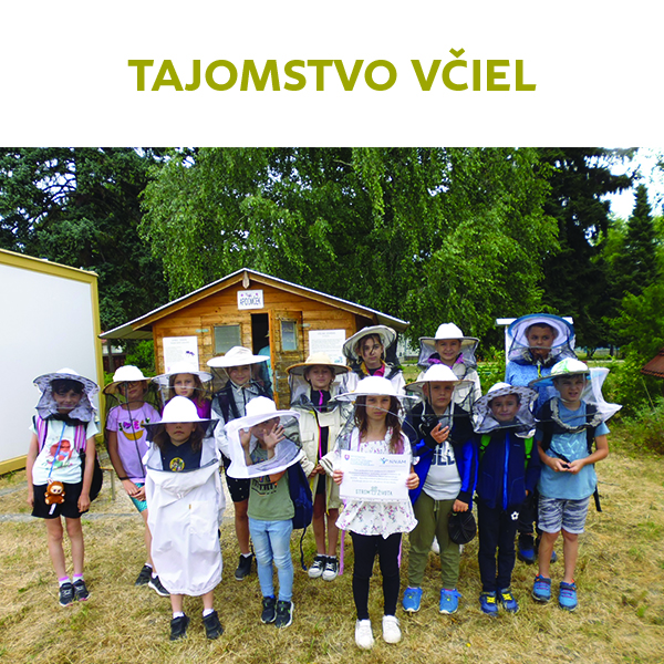 Tajomstvo včiel