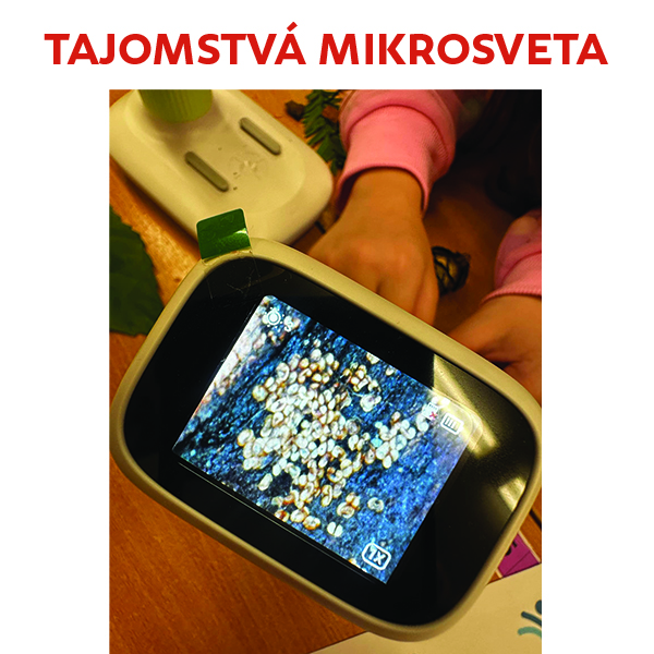 Tajomstvá mikrosveta
