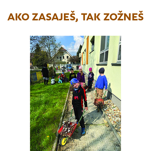 Ako zasaješ, tak zožneš