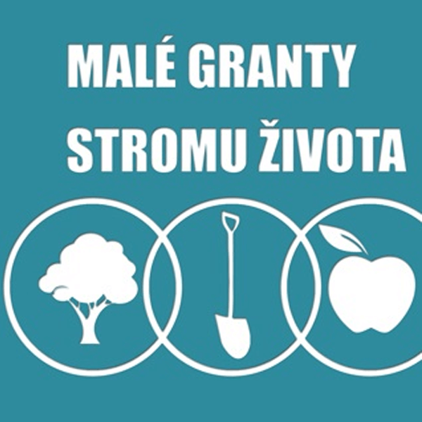 Vyhodnotili sme projekty z jesennej grantovej výzvy