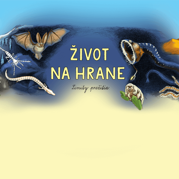 Májový STROM – Život na hrane